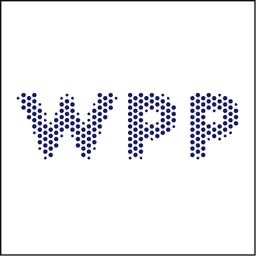 CEO, Fortune 500 Conglomerate